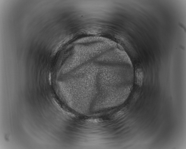 X0000100880404200807111348