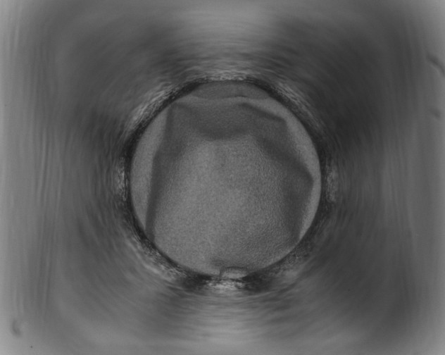 X0000100880407200807111348