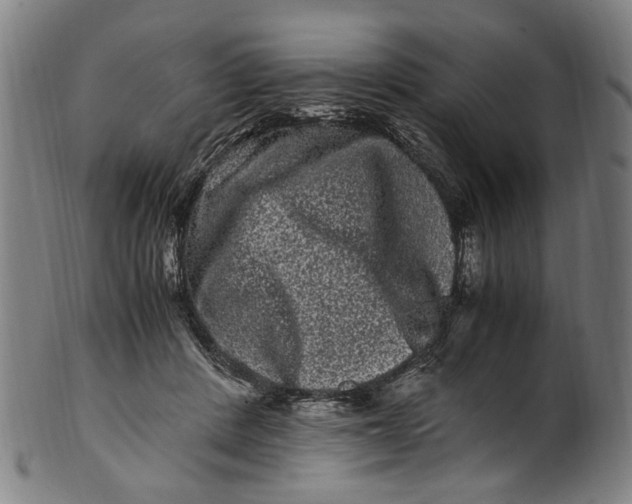 X0000100880408200807111348