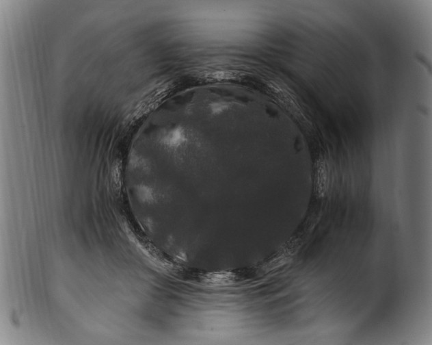 X0000100880410200807111347