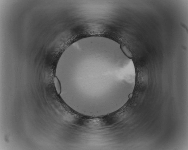 X0000100880411200807111347