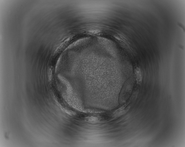 X0000100880412200807111347