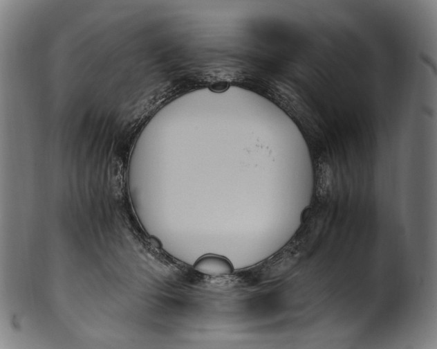 X0000100880414200807111347