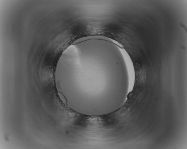 X0000100880415200807111347