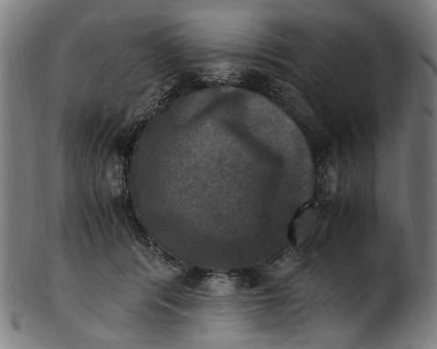 X0000100880416200807111347