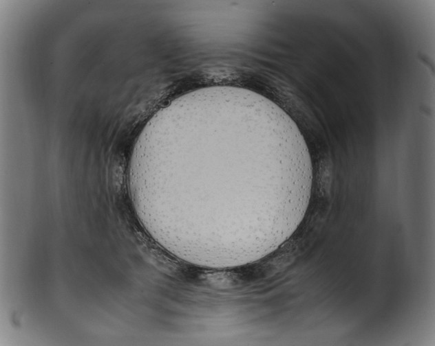 X0000100880417200807111347