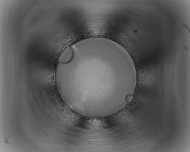 X0000100880419200807111347