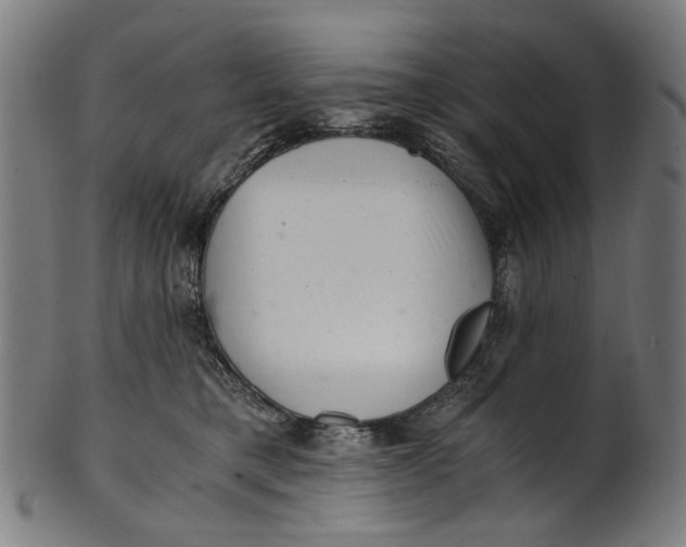 X0000100880421200807111347