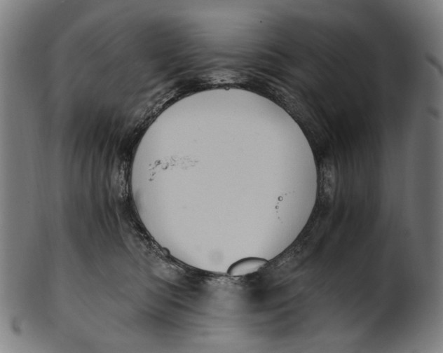 X0000100880422200807111347