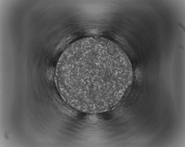 X0000100880423200807111347