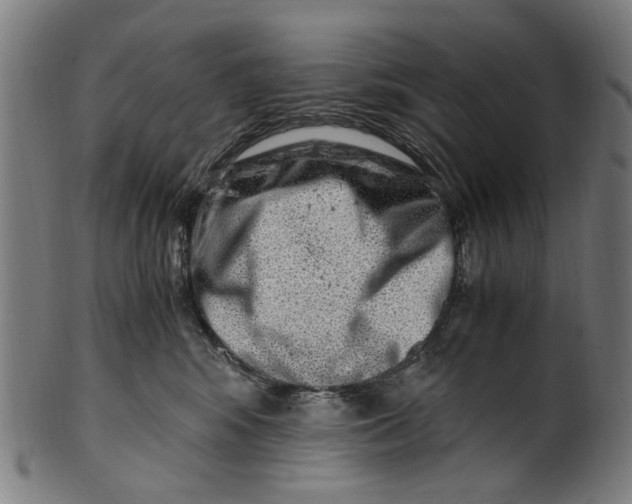 X0000100880424200807111347