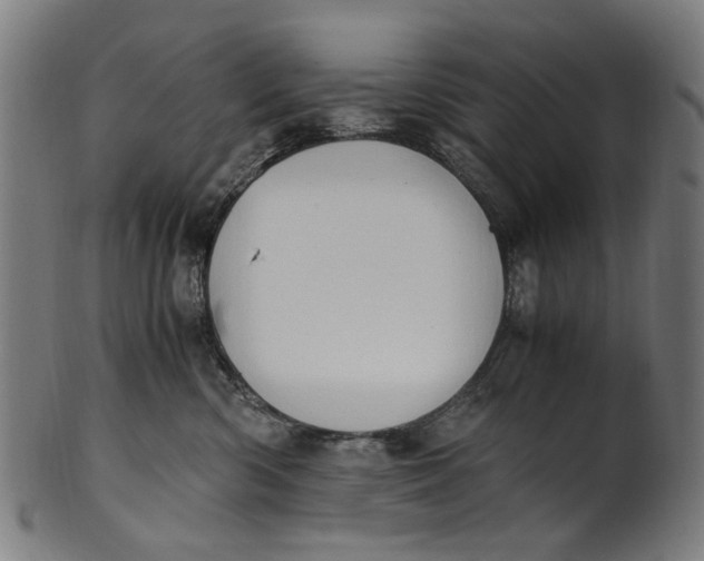 X0000100880426200807111347