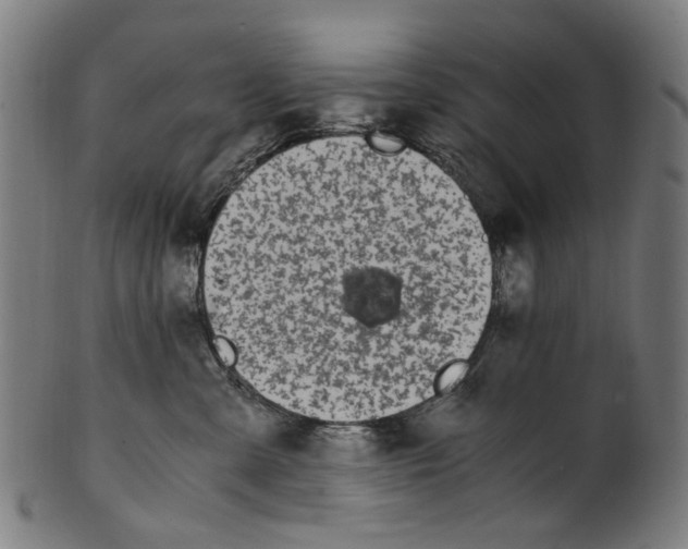 X0000100880427200807111347