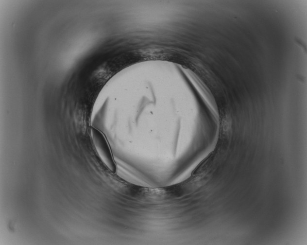 X0000100880429200807111347