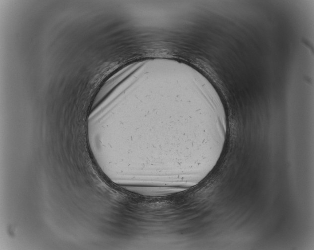 X0000100880433200807111346