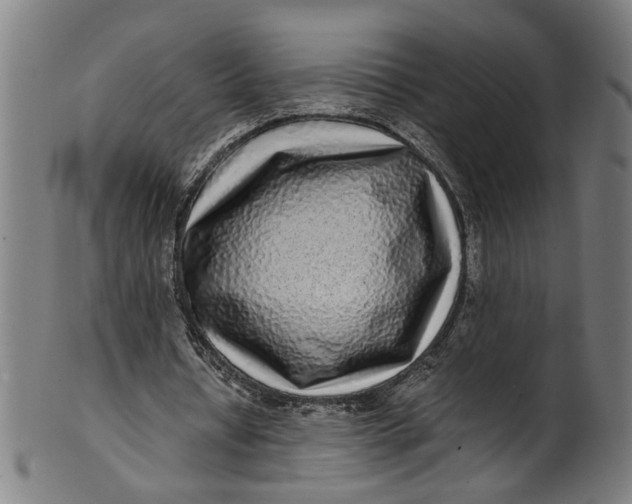 X0000100880434200807111346