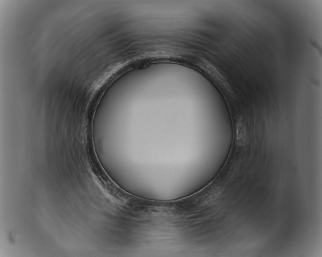 X0000100880436200807111346