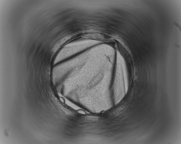 X0000100880437200807111346