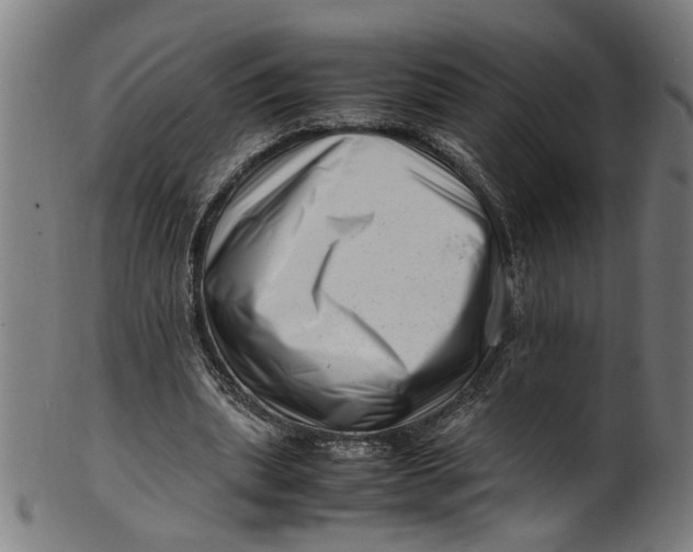 X0000100880439200807111346