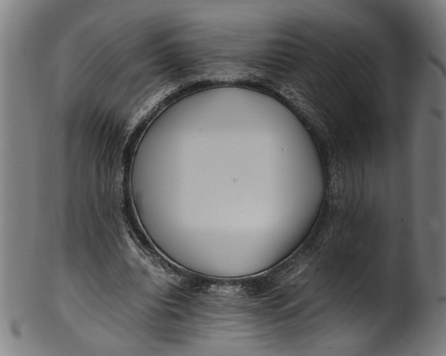 X0000100880440200807111346