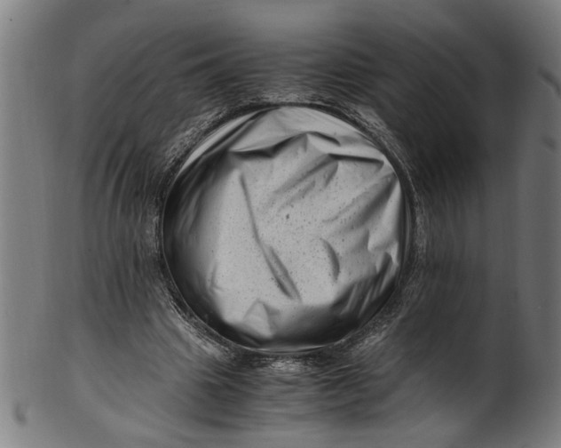 X0000100880441200807111346