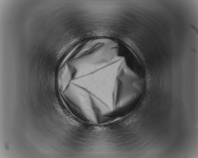 X0000100880442200807111346