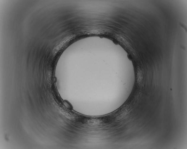 X0000100880444200807111346