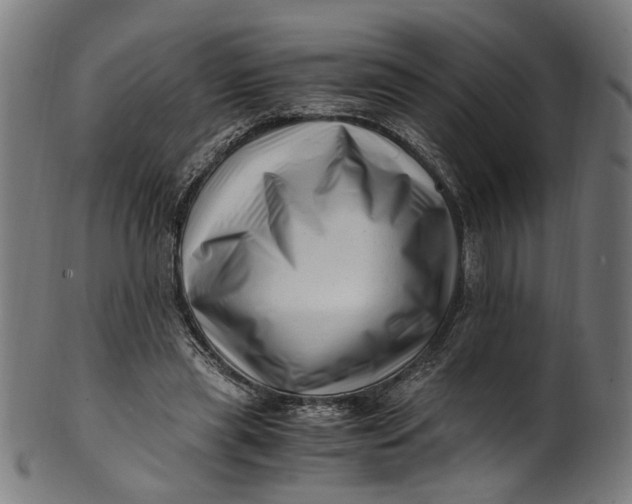 X0000100880445200807111346