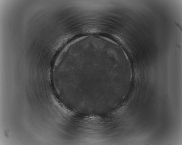 X0000100880447200807111346