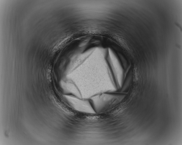 X0000100880450200807111346