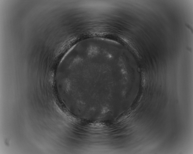 X0000100880451200807111346