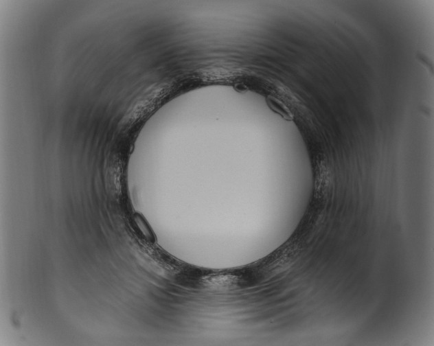 X0000100880452200807111346