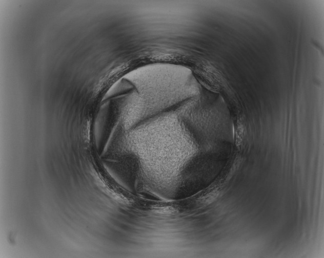 X0000100880454200807111347