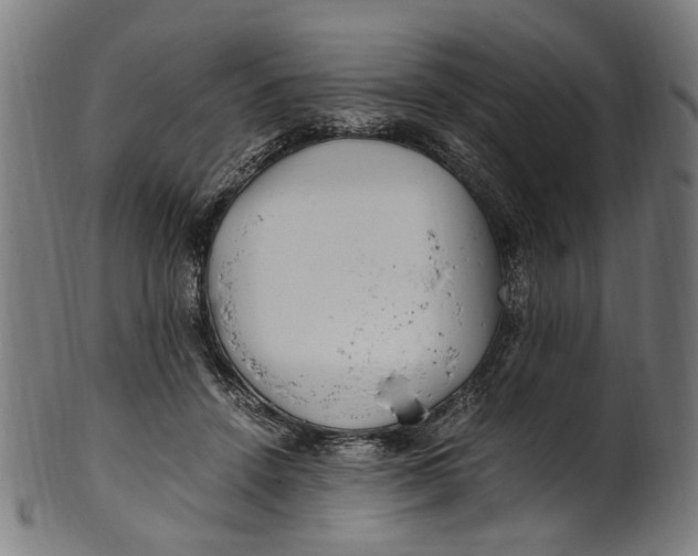 X0000100880456200807111347