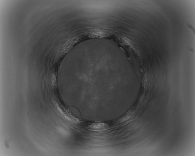 X0000100880459200807111347