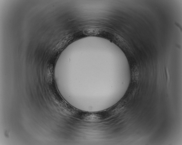 X0000100880460200807111347