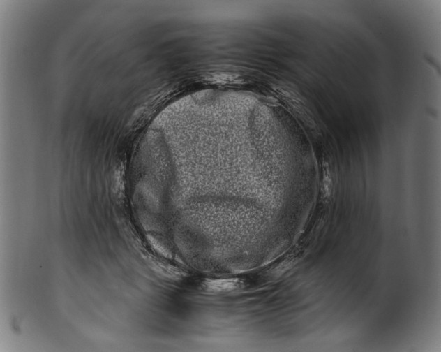 X0000100880461200807111347