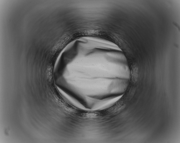 X0000100880462200807111347