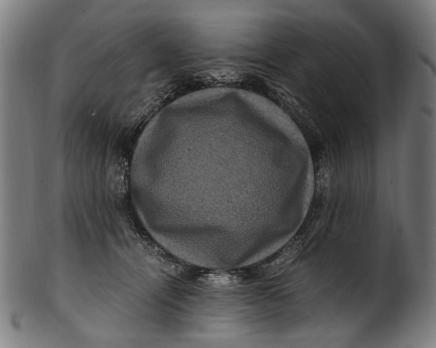 X0000100880464200807111347