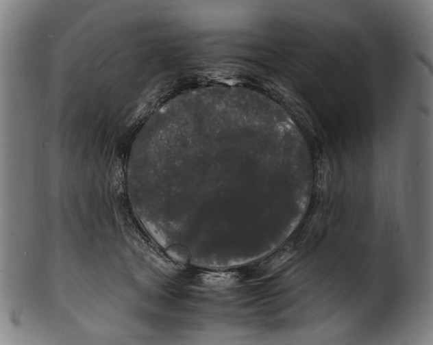 X0000100880465200807111347