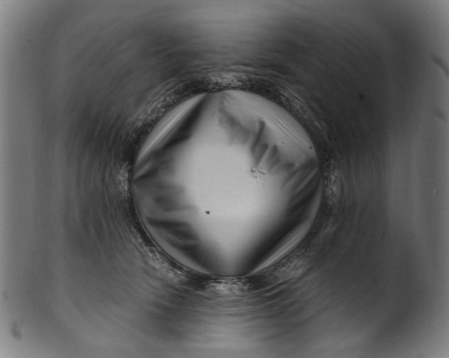 X0000100880466200807111347