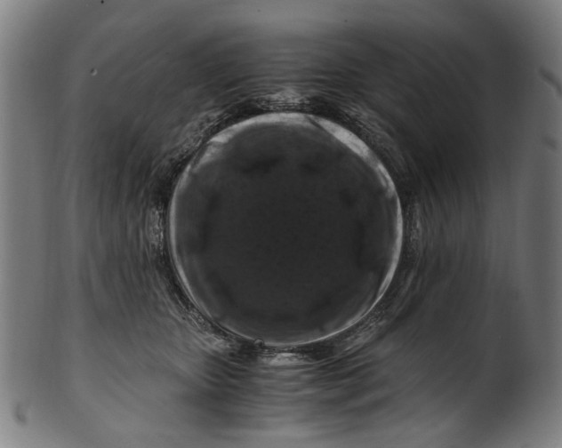 X0000100880467200807111347