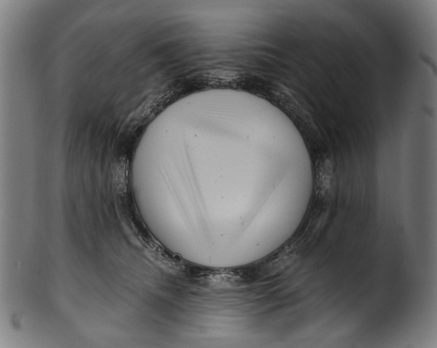 X0000100880468200807111347