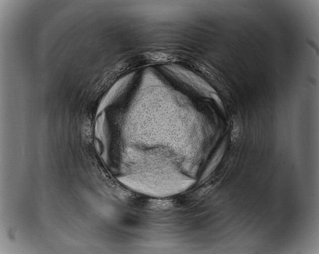 X0000100880469200807111347