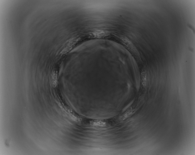 X0000100880471200807111347