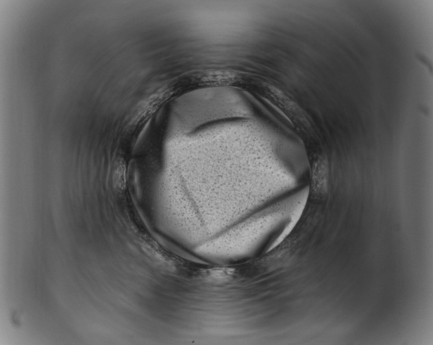 X0000100880474200807111347