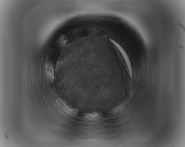 X0000100880479200807111347