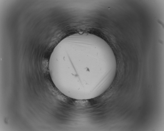 X0000100880480200807111347