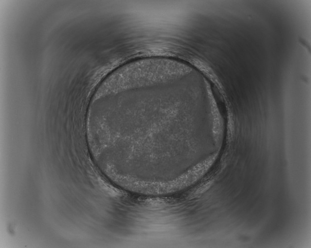 X0000100880481200807111346