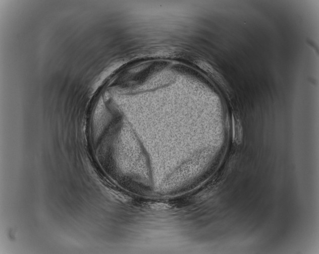 X0000100880483200807111346